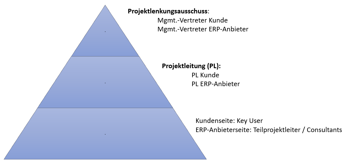 ERP-Projektorganisation